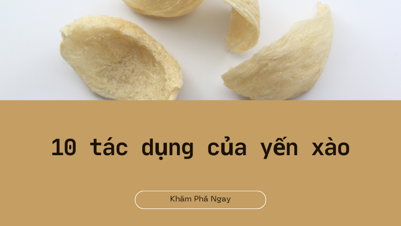 Khám phá 10+ TÁC DỤNG TUYỆT VỜI của Yến Sào cho mọi lứa tuổi